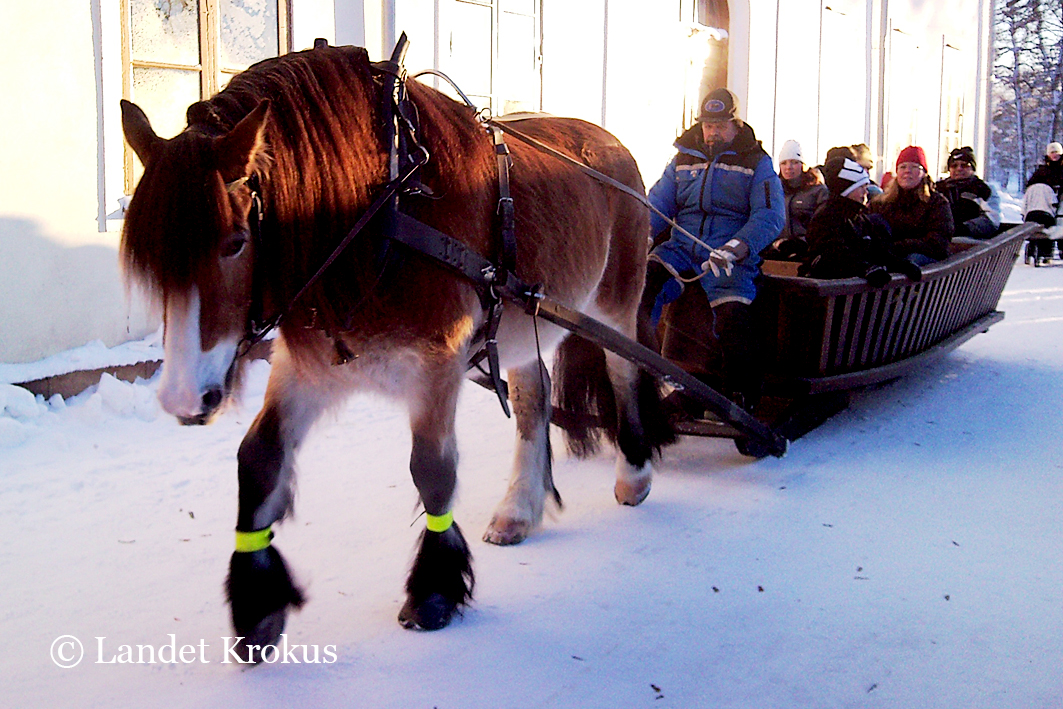 Landet Krokus Gammaldags julmarknad i Högbo bruk